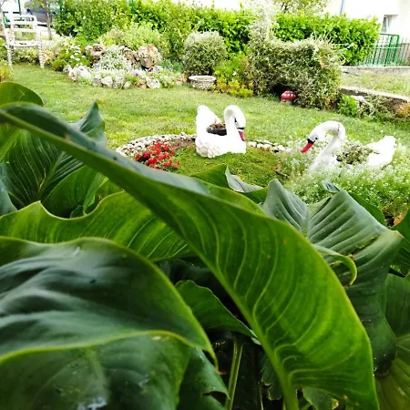 Apartment Pina 2 *